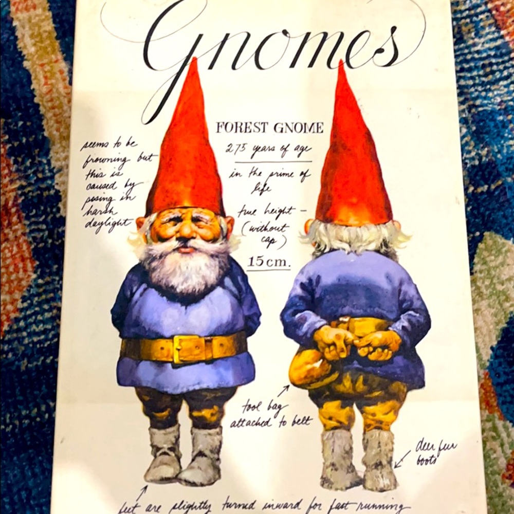 Gnomes book by Harry Abrams